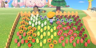 Обзор Animal Crossing: New Horizons. Мой ласковый и нежный гринд
